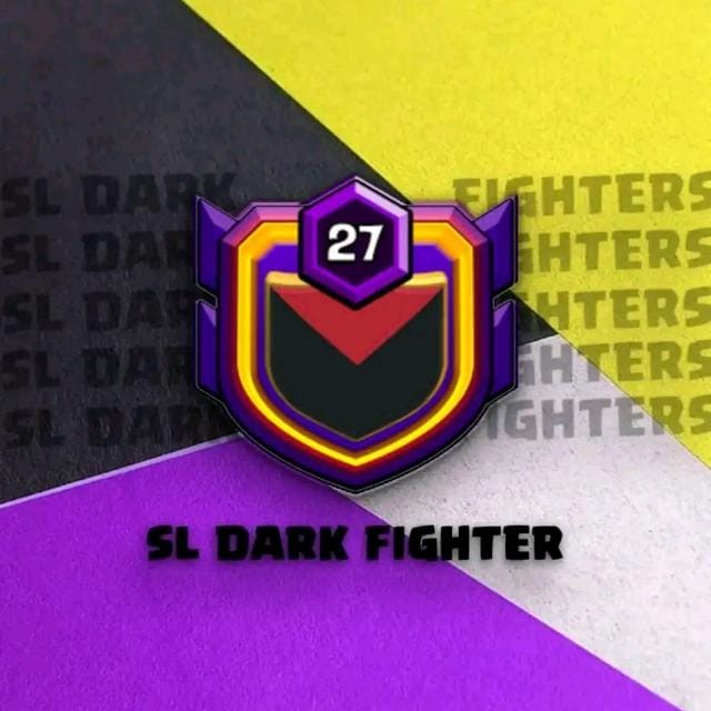 Sl Dark Fighter Logo